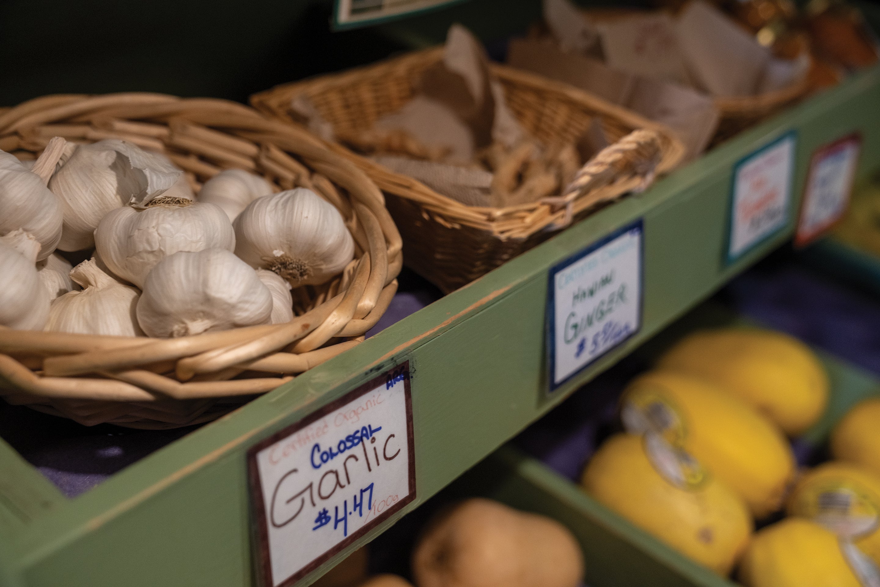 Close of shot of garlic and Ginger from The Pantry Natural Foods Mission BC